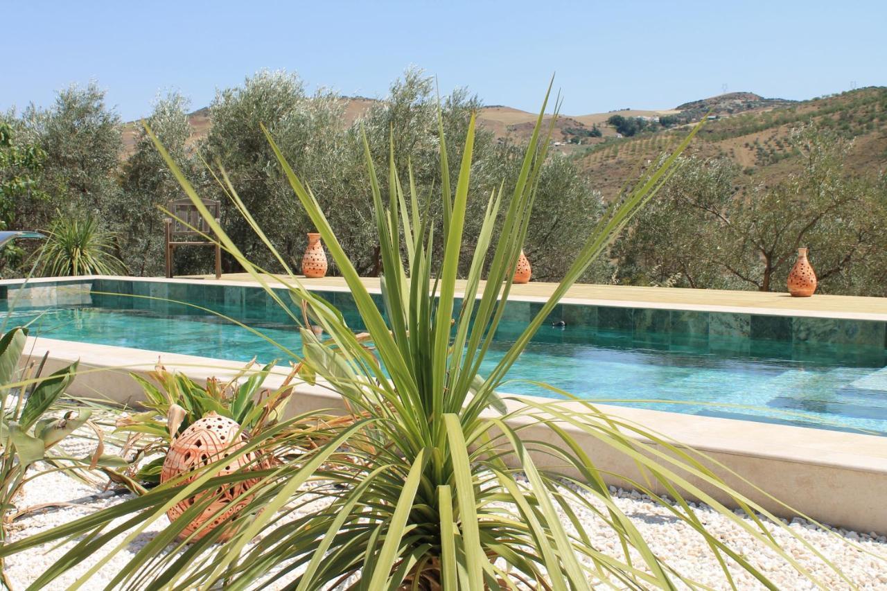 Finca Altozano - Private Pool - Unique Client Valle de Abdalagis Екстер'єр фото