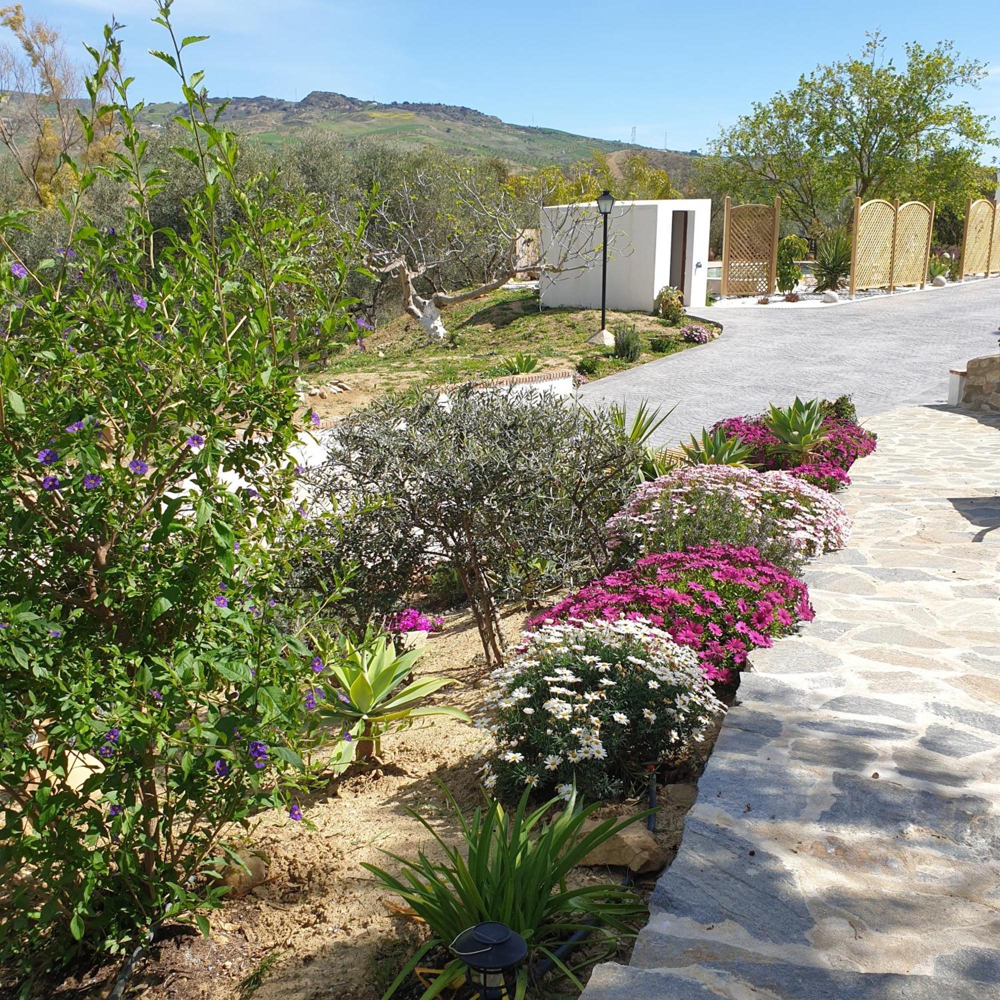 Finca Altozano - Private Pool - Unique Client Valle de Abdalagis Екстер'єр фото